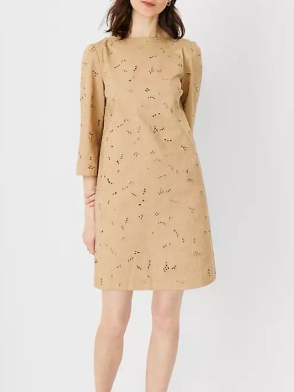 ANN TAYLOR eyelet boatneck dress